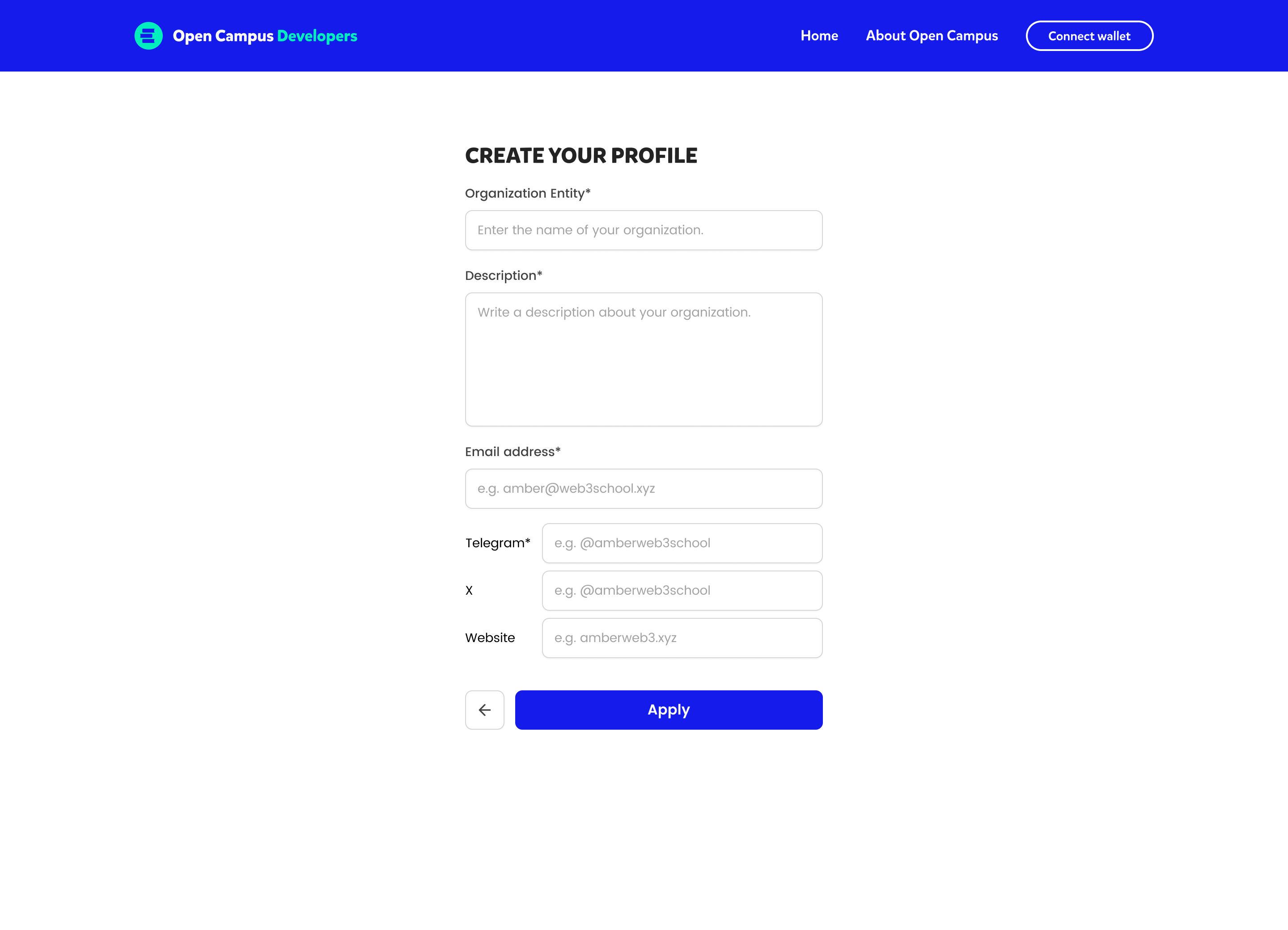 Onboarding form for developer account